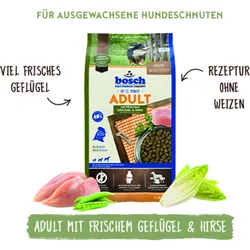 Bosch Adult Geflügel & Hirse 5x1 kg