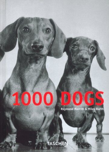 Raymond Merrit - Tausend Hunde - Preis vom 30.09.2026 22:30:23 h