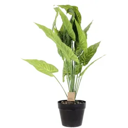 NATURN LIVING Dieffenbachie aus Kunststoff – ø 15 x 55 cm – Tropische Zimmerpflanze – Grün