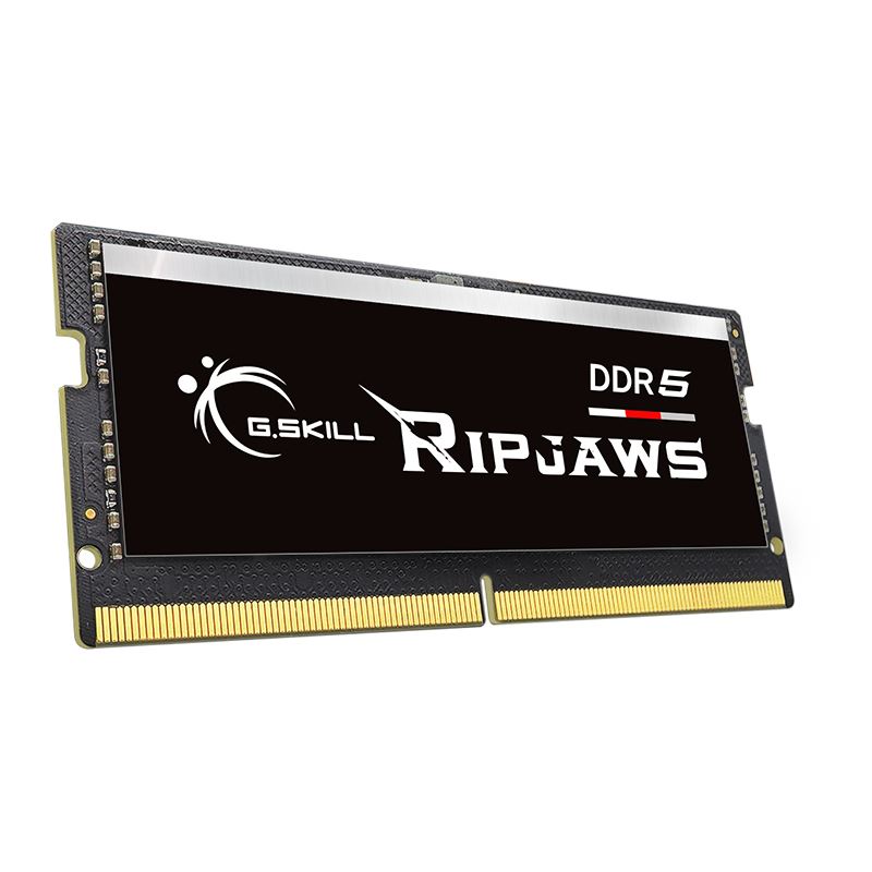 32GB G.Skill Ripjaws DDR5-4800 SO-DIMM CL40 Single