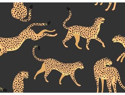 RoomMates Black & Orange Cheetah Cheetah Peel and Stick Wallpaper