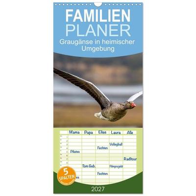 Familienplaner 2027 - Graugänse in heimischer Umgebung mit 5 Spalten (Wandkalender, 21 x 45 cm) CALVENDO