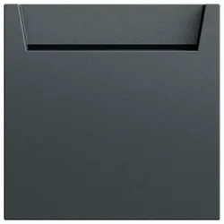 Gira Hotel-Card Schließer+ 314073