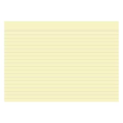 Exacompta Karteikarten (148 x 210 mm, 205 g/m²) (10828SE)