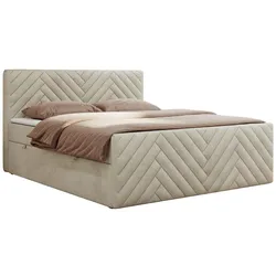 BOXBETT PARIS DUO 200/200 - Beige Velvet - H4