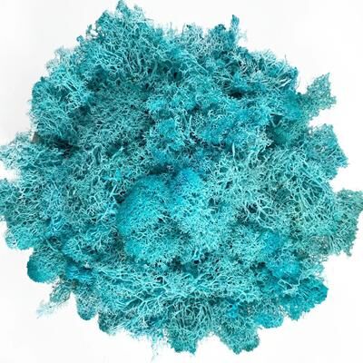Inspire Select Artificial Reindeer Moss Decor Faux Green Moss For Crafts, Potted Plants & Wall Art water Blue 1.1 Oz