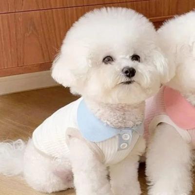 Inspire Essentials Cute Breathable Dog Shirt For Small And Medium Pets blue s