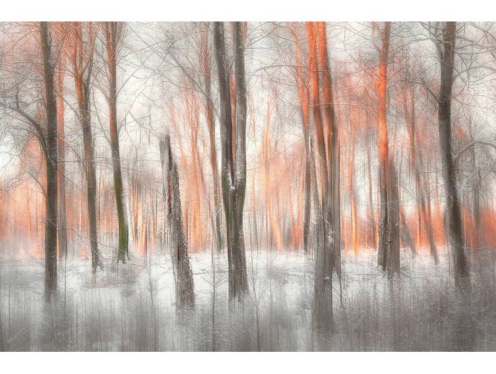 Fototapete PAPERMOON Photo-Art GUSTAV DAVIDSSON, ABENDLICHT , bunt, B:1,5m L:1,11m, Vlies, Tapeten, Fototapete