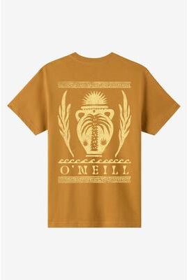 O'Neill s Shook Classic T-Shirt in Bone Brown, Size XL