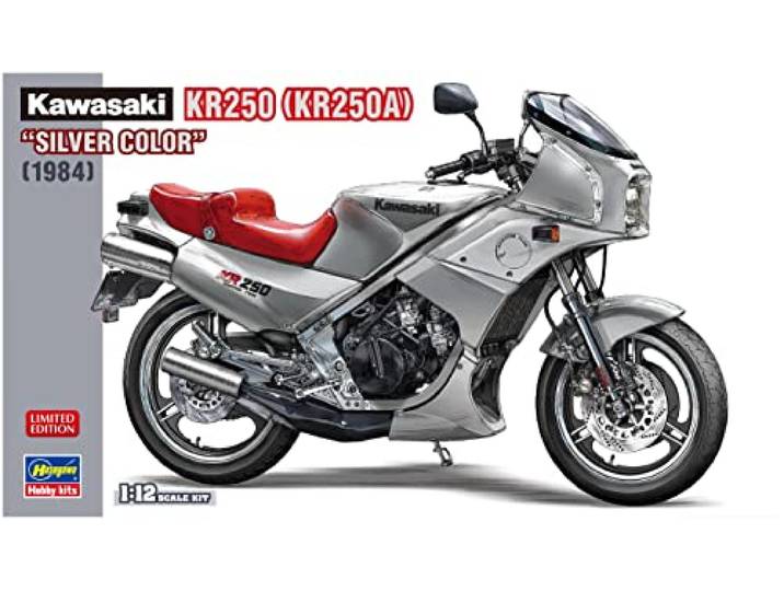 Hasegawa 21747 1/12 Kawasaki KR250, Silver Color modelbouwset, meerkleurig