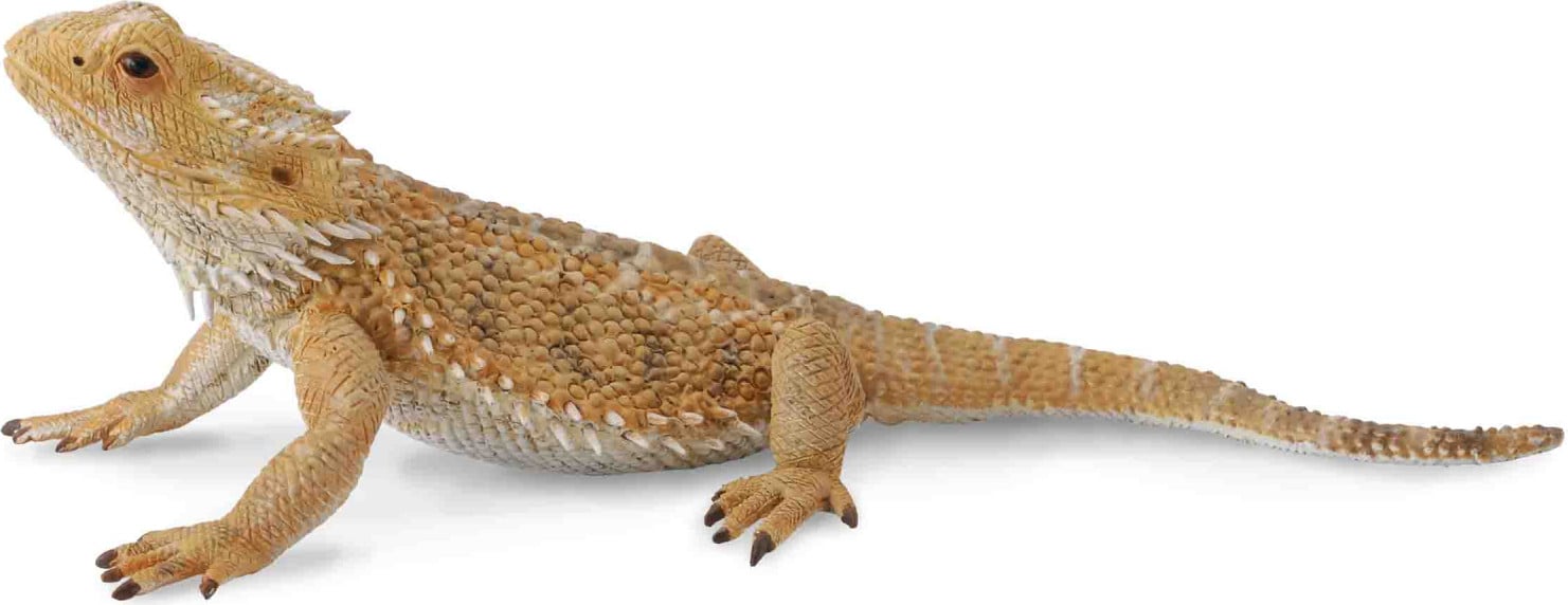 Collecta Bartagamehagedis Dierfiguur