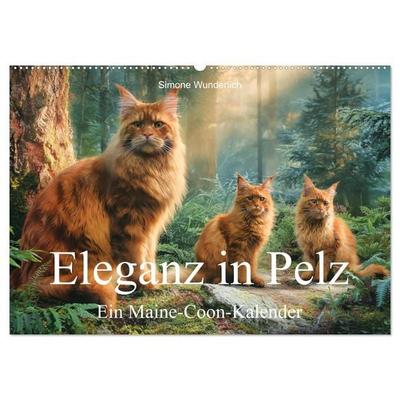 Eleganz in Pelz - ein Maine Coon - Kalender (Wandkalender 2027 DIN A2 quer), CALVENDO Monatskalender
