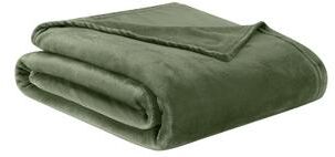 Silver Orchid Bleibtreu Soft Velvet Plush Blanket