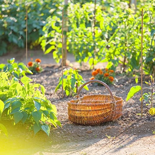 Relaxdays Set van 40 bamboestokken voor planten, bruin, Hoogte: 105 cm