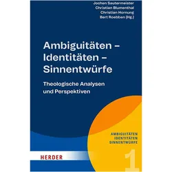 Ambiguitäten – Identitäten – Sinnentwürfe, Fachbücher von Judith Hahn, Andreas Odenthal, Jochen Sautermeister, Christian Blumenthal, Christian Hornung, Bert Roebben, Anna Maria Riedl, Michael Reichardt, Jörg Seip, Stefan Walser, Klaus von Stosch, Ulrich Berges