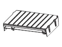 Zebra RFID-Modul-Globalkit (P1058930-500C)