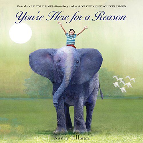 Nancy Tillman - You're Here for a Reason (Nancy Tillman Collection) - Preis vom 09.10.2026 07:28:09 h
