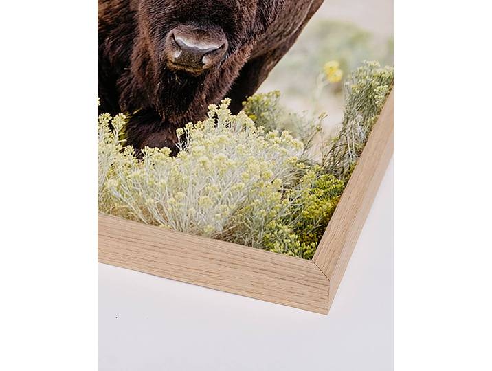 Tableau déco North American Bison Matériau : Matière plastique, Bois massif Surface en bois : Laqué Type de matière synthétique : Verre