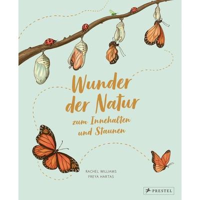 Wunder der Natur zum Innehalten und Staunen, Gebundene Ausgabe von Rachel Williams,Freya Hartas, Prestel, 978-3-7913-7447-5