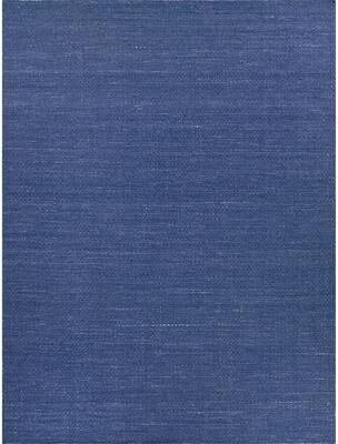 EXQUISITE RUGS Gamma Indoor/Outdoor Flatweave PET yarn Blue Area Rug.