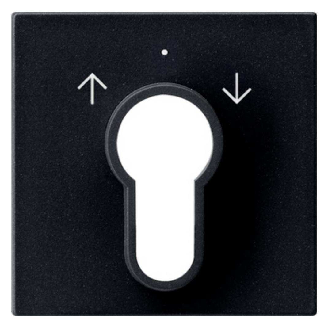 Gira Abd. Schlüsselschalter/-taster System 55 0664005 (0664005)