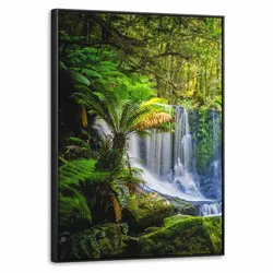 LEINWAND Bilder mit Rahmen - Dschungel - Wasserfall - Australien - Pflanzen - Natur - 50x70