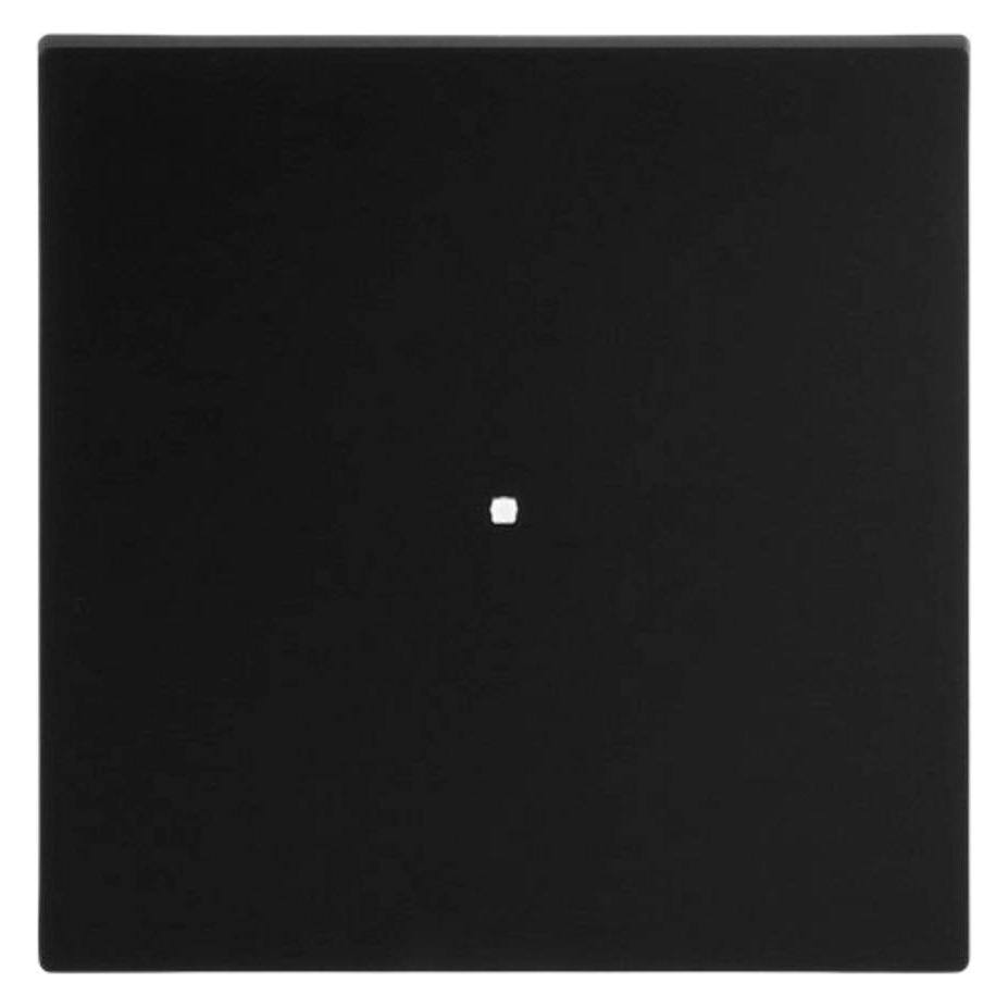 Busch-Jaeger Wippe (2CKA006220A0927)