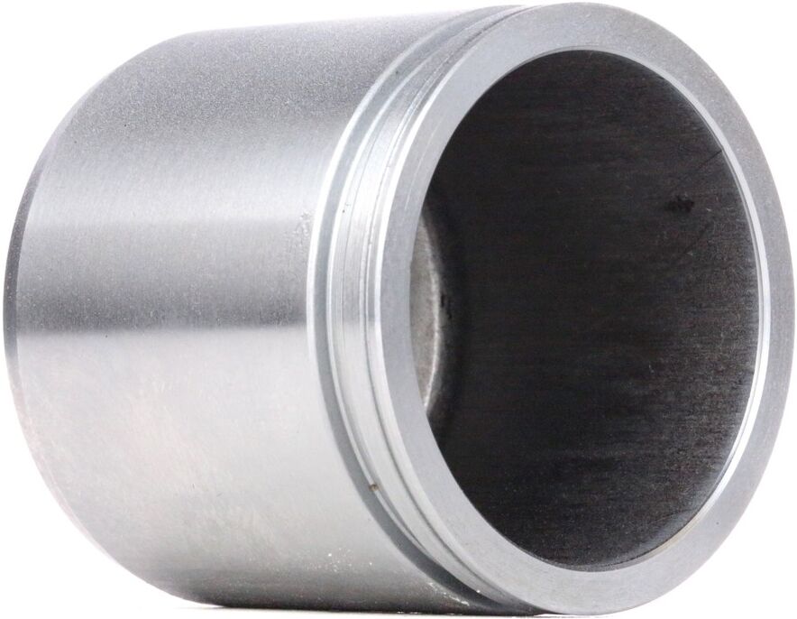 RIDEX 2248P0280 Brake caliper piston