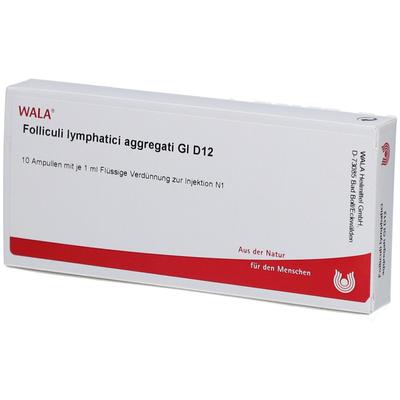 Folliculi Lymphatici aggregati GL D 12 Ampullen 10x1 ml