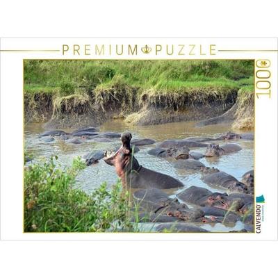 CALVENDO Puzzle Nilpferd | 1000 Teile Lege-Größe 64x48cm Foto-Puzzle für glückliche Stunden