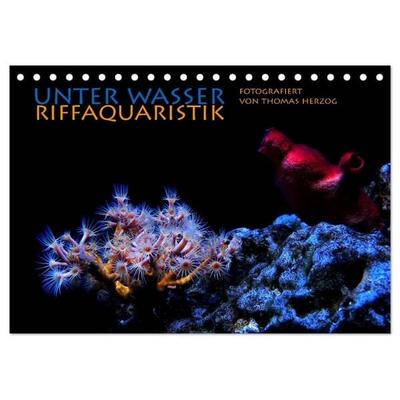 UNTER WASSER Riffaquaristik (Tischkalender 2027 DIN A5 quer), CALVENDO Monatskalender