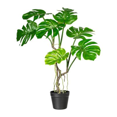 CREATIV green Künstliche Pflanze Splitphilodendron 75cm im Topf