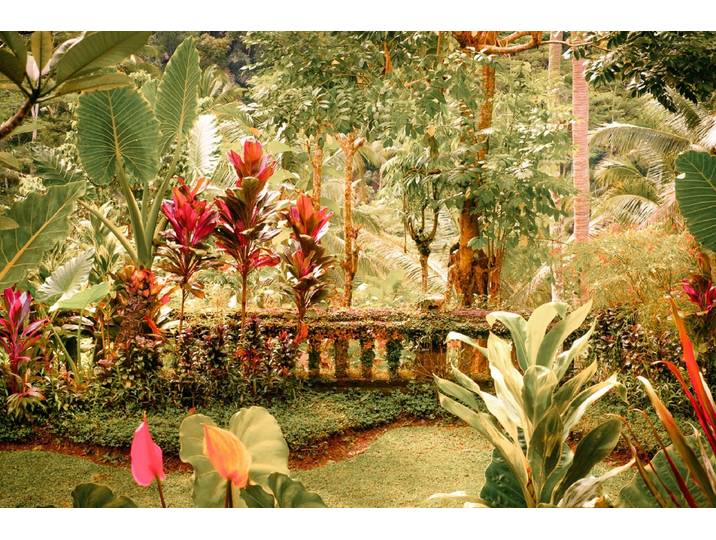 Fototapete PAPERMOON Alter Garten , bunt, B:5m L:2,8m, Vlies, Tapeten, Fototapete