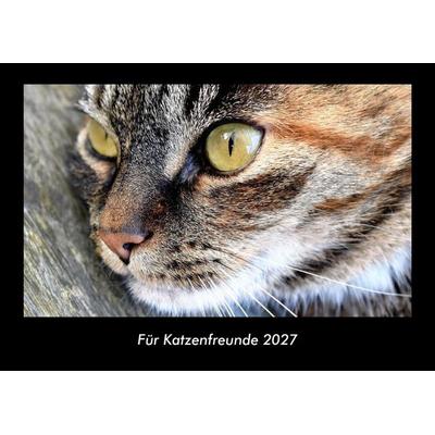 Für Katzenfreunde 2027 Fotokalender DIN A3