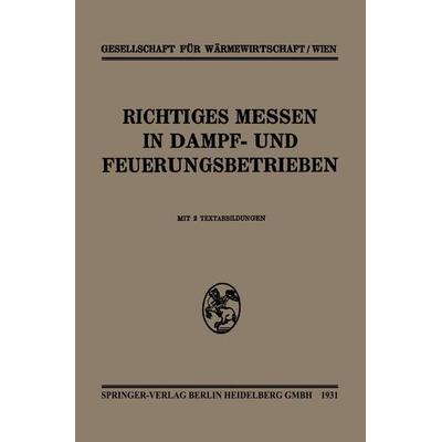 Richtiges Messen In Dampf- und Feuerungsbetrieben, Taschenbuch von Kenneth A. Loparo, Springer Berlin, 978-3-662-31337-4
