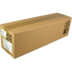 Ricoh D2393061 - 160000 Seiten - Cyan - - MPC3004/3504, Fotopapier, Mehrfarbig