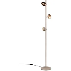 TRIO SELECT LED-Stehleuchte BEDFORD - D/H ca. 25.00x150.00
