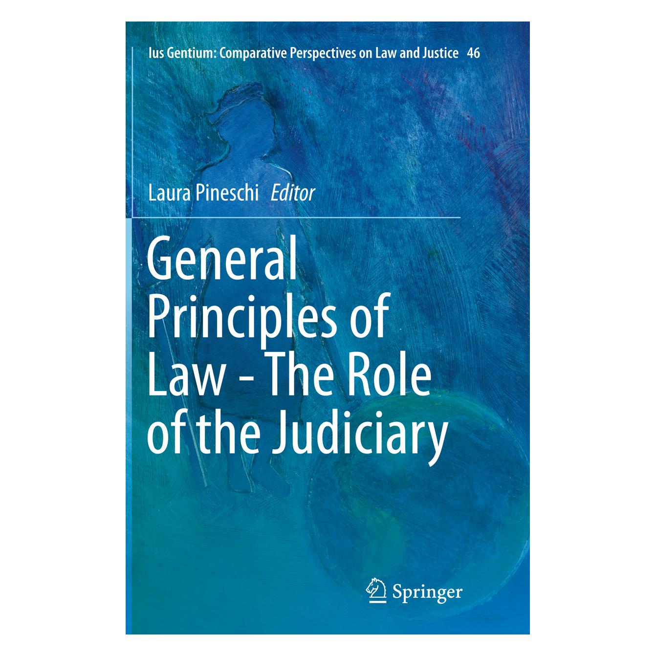 Springer General Principles of Law - The Role of the Judiciary (Englisch, Softcover, Laura Pineschi) (55855587)