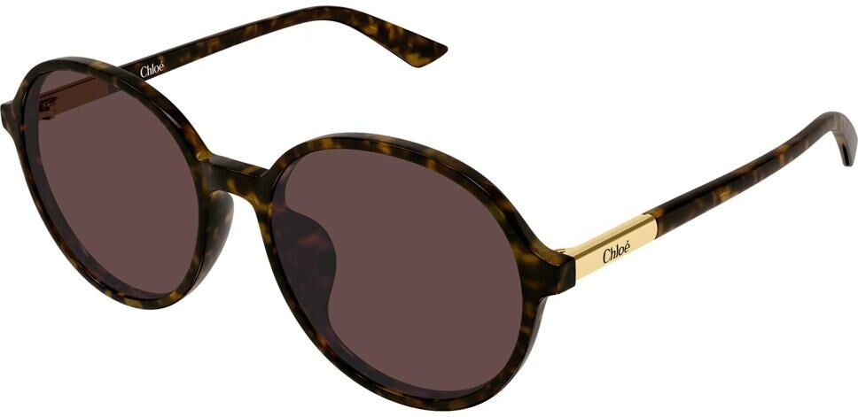 Chloé  - CH0365SK 002 Havana - Lunettes de soleil