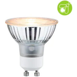 Paulmann 28972 LED Reflektor Goldlicht insektenfreundlich schlicht GU10 4,3W extra warmweiß