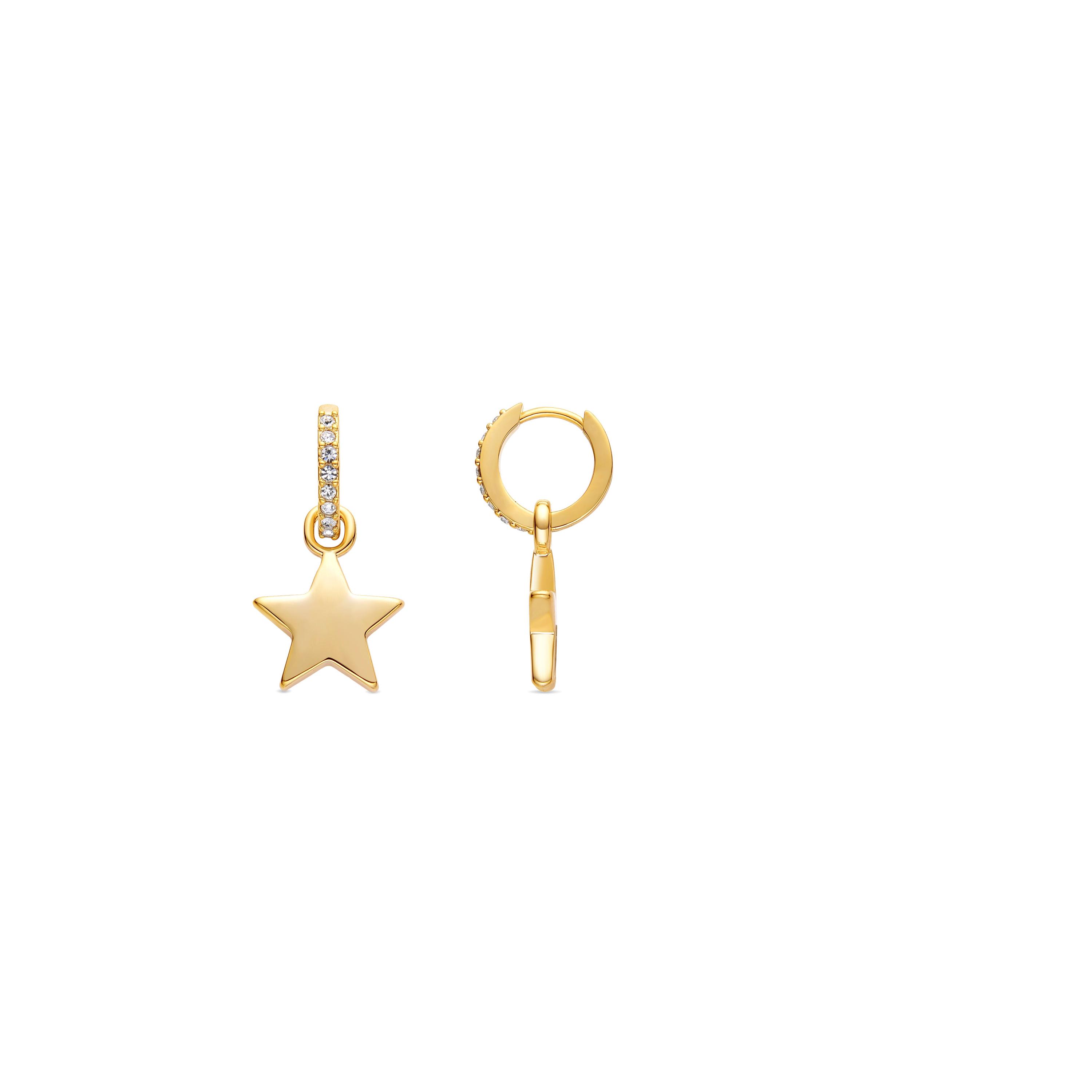 Luxenter 18K Gelbgold plattierte Brillant Zirkonia Ohrringe - Star