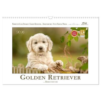 Golden Retriever... Herzenshunde (Wandkalender 2026 DIN A3 quer), CALVENDO Monatskalender