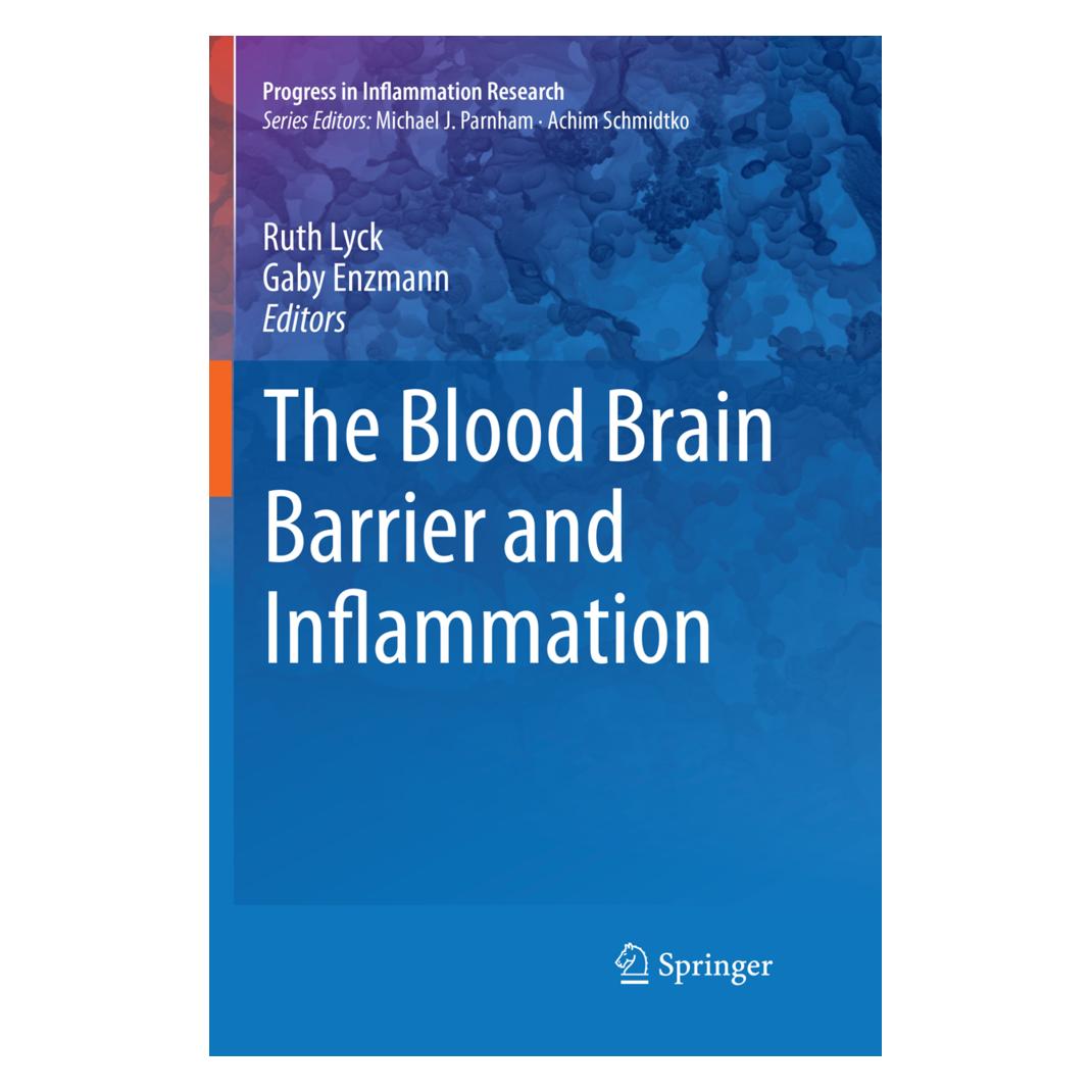 Springer The Blood Brain Barrier and Inflammation (Englisch, Softcover, Gaby Enzmann, Ruth Lyck) (56007019)