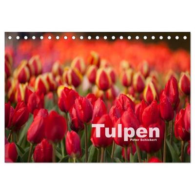Tulpen (Tischkalender 2026 DIN A5 quer), CALVENDO Monatskalender