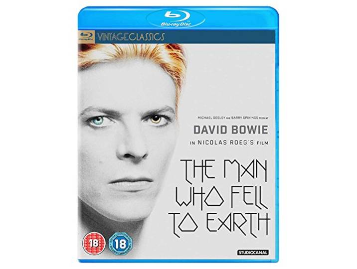 The Man Who Fell To Earth