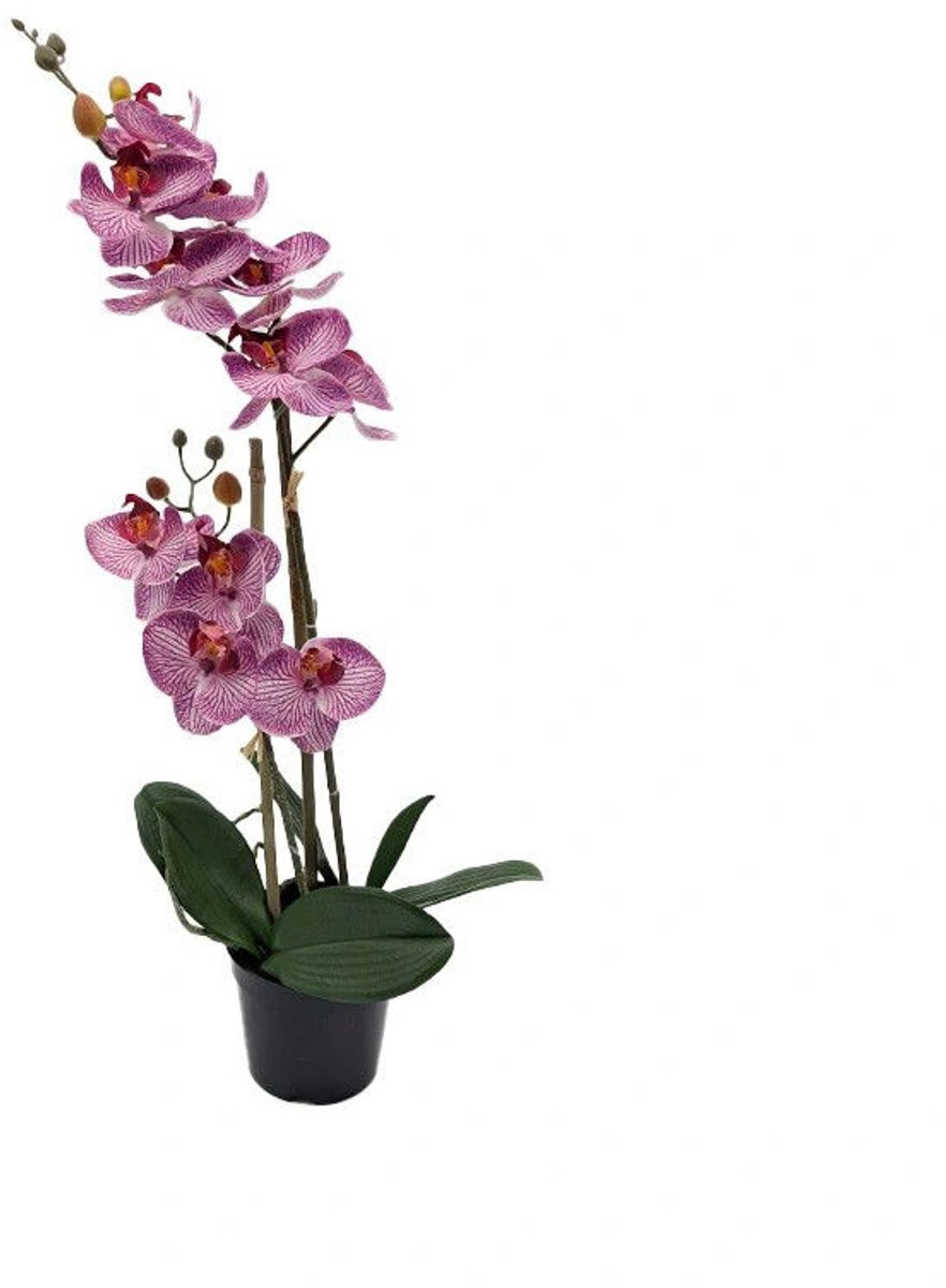 Buitengewoon Boet Phalaenopsis Orchidee Kunstplant in Pot, Tiger Cerise, 2 stuks, 50 cm