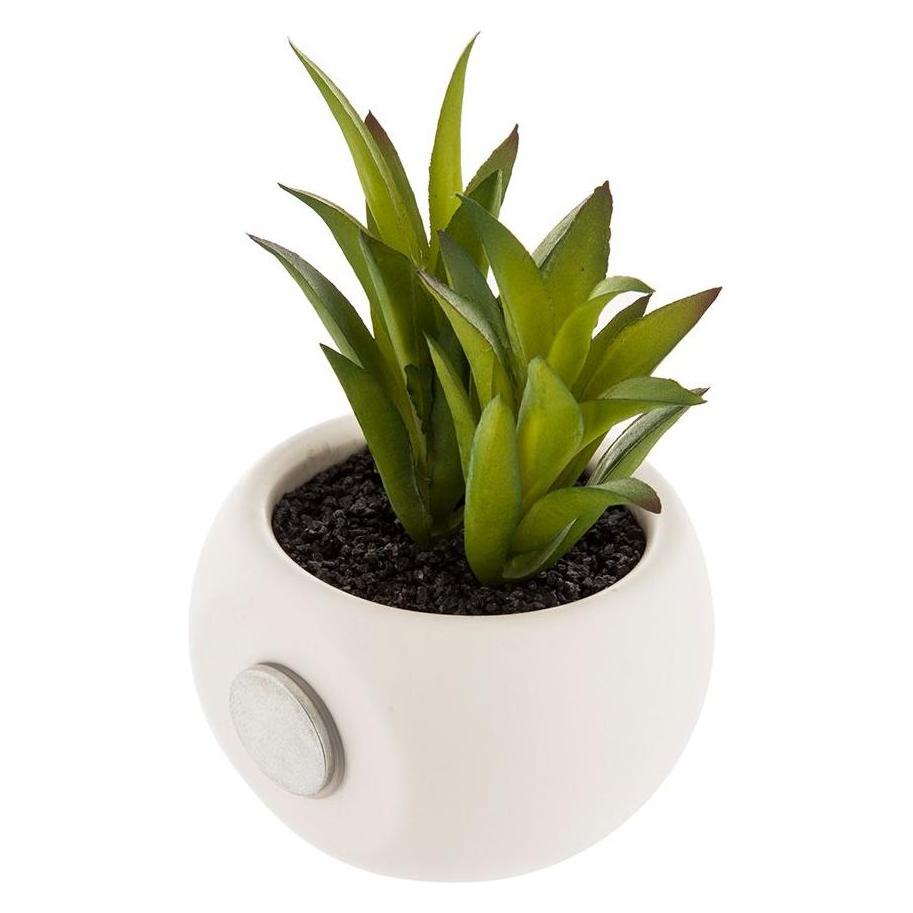 Atmosphera Dekorationspflanze (6 cm) (45261370)