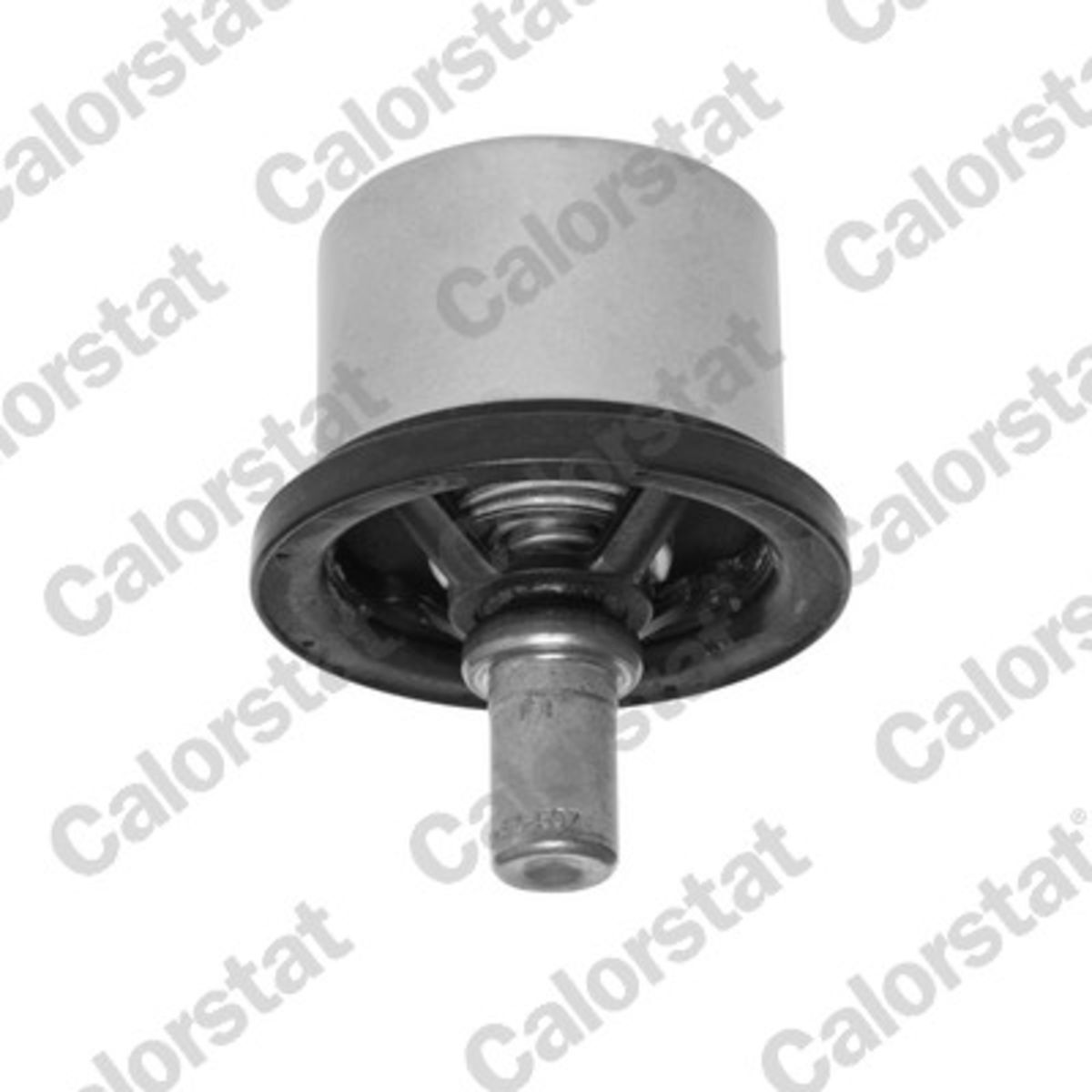 Thermostat, Kühlmittel CALORSTAT BY VERNET THS19054.86