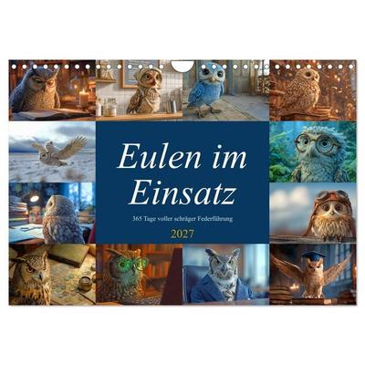 Eulen im Einsatz - 365 Tage voller schräger Federführung (Wandkalender 2027 DIN A4 quer), CALVENDO Monatskalender