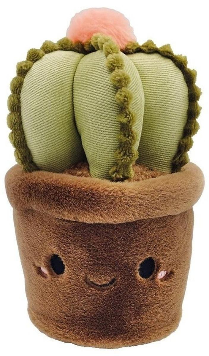STNUX mascotte Cactus